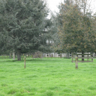 Payne Park - Cambridge Tree Trust.